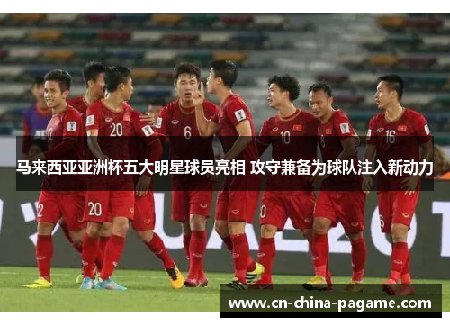 马来西亚亚洲杯五大明星球员亮相 攻守兼备为球队注入新动力